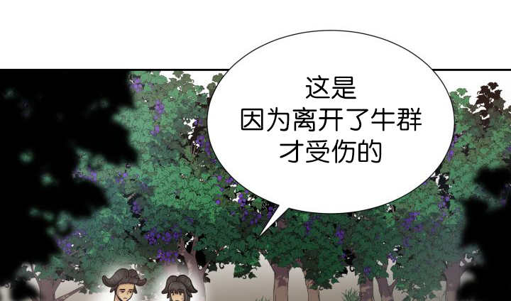 《旷野之息》漫画最新章节第79章：有人关心免费下拉式在线观看章节第【36】张图片