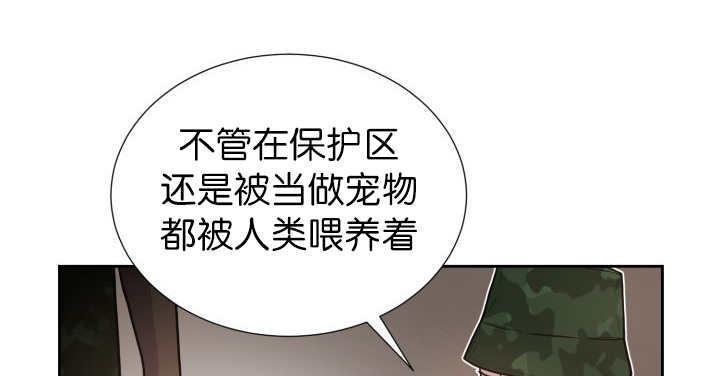 《旷野之息》漫画最新章节第81章：要去哪里免费下拉式在线观看章节第【44】张图片