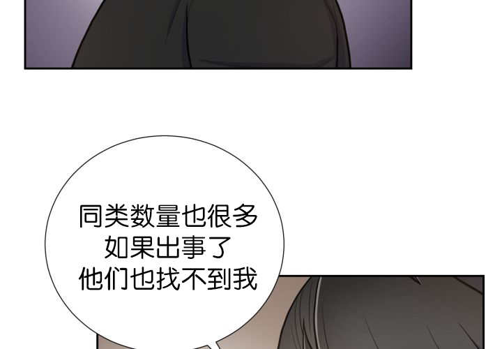 《旷野之息》漫画最新章节第82章：找不到我免费下拉式在线观看章节第【40】张图片