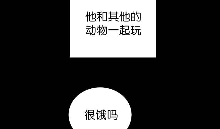 《旷野之息》漫画最新章节第83章：只看着我免费下拉式在线观看章节第【20】张图片