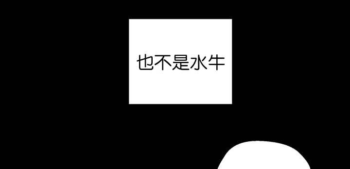 《旷野之息》漫画最新章节第83章：只看着我免费下拉式在线观看章节第【11】张图片