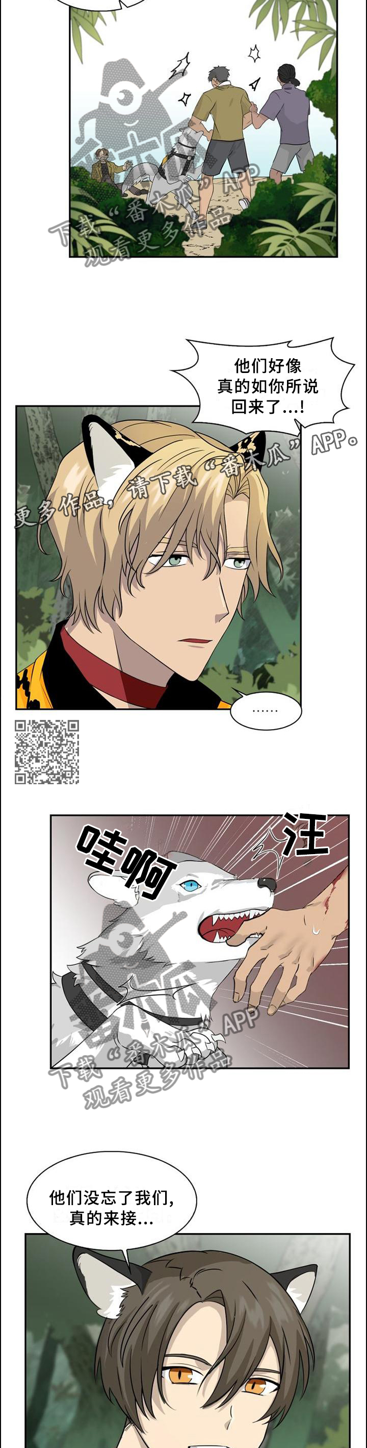 《旷野之息》漫画最新章节第97章：【第二季】”包围”免费下拉式在线观看章节第【6】张图片