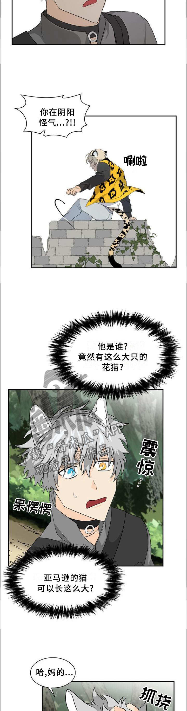 《旷野之息》漫画最新章节第98章：【第二季】追逐免费下拉式在线观看章节第【5】张图片