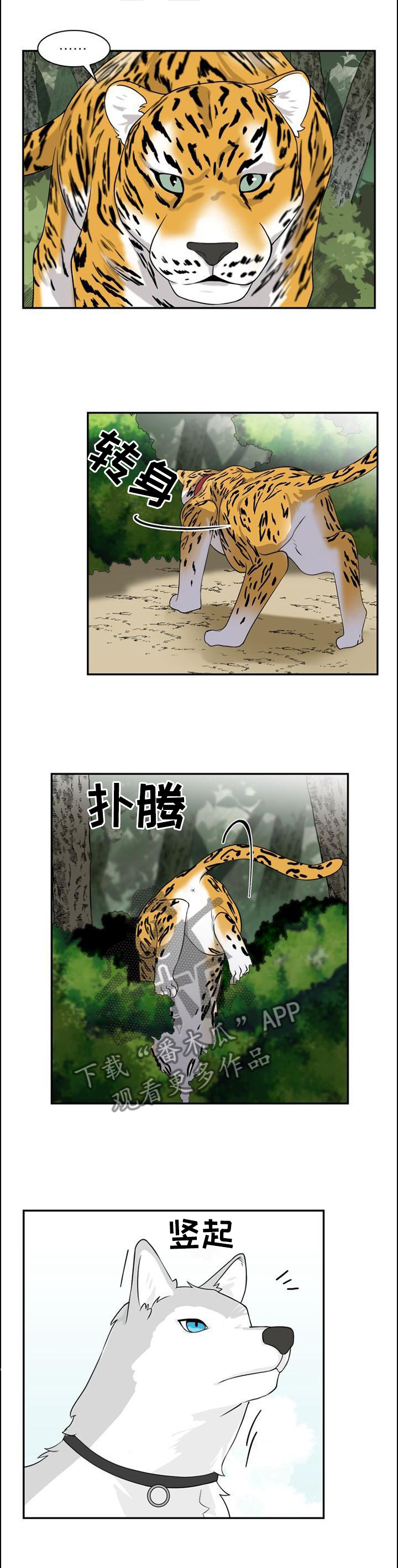 《旷野之息》漫画最新章节第98章：【第二季】追逐免费下拉式在线观看章节第【12】张图片