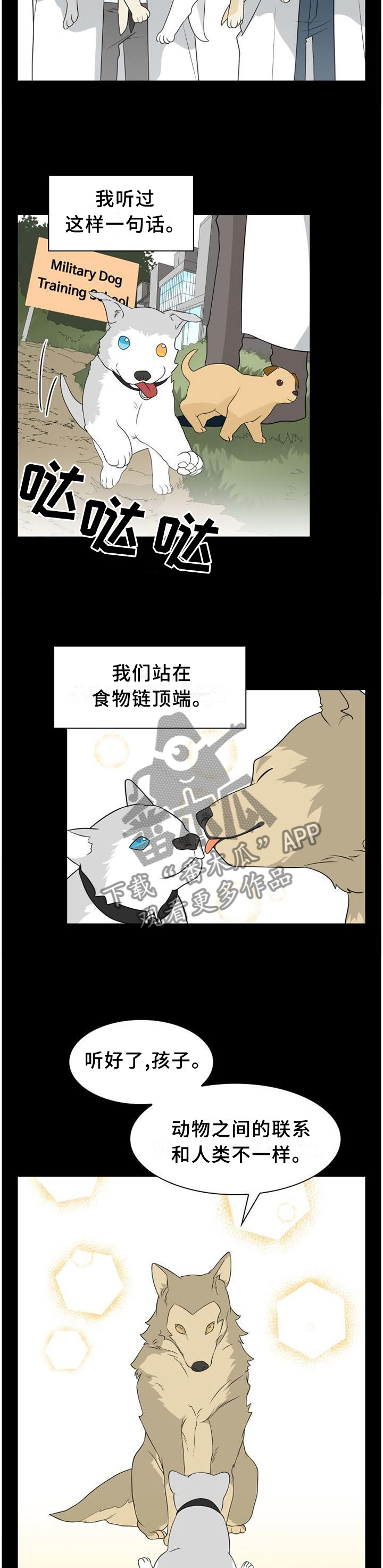 《旷野之息》漫画最新章节第112章：【第二季】人类与动物的区别免费下拉式在线观看章节第【4】张图片