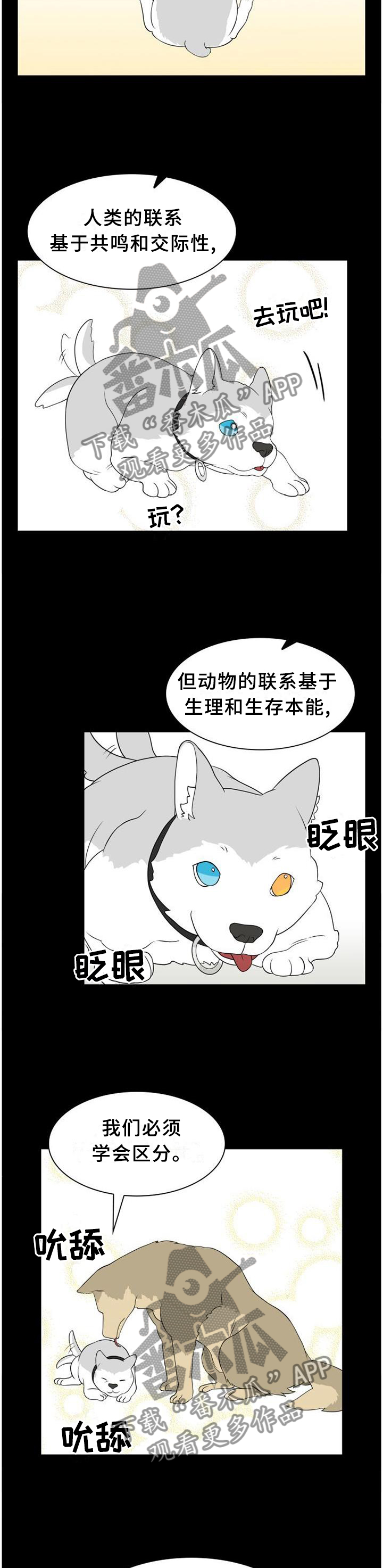 《旷野之息》漫画最新章节第112章：【第二季】人类与动物的区别免费下拉式在线观看章节第【3】张图片