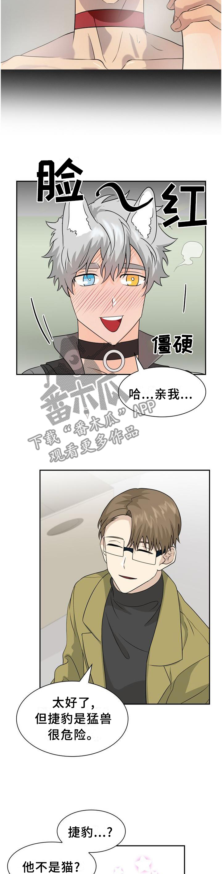 《旷野之息》漫画最新章节第115章：【第二季】我去周围看看免费下拉式在线观看章节第【5】张图片