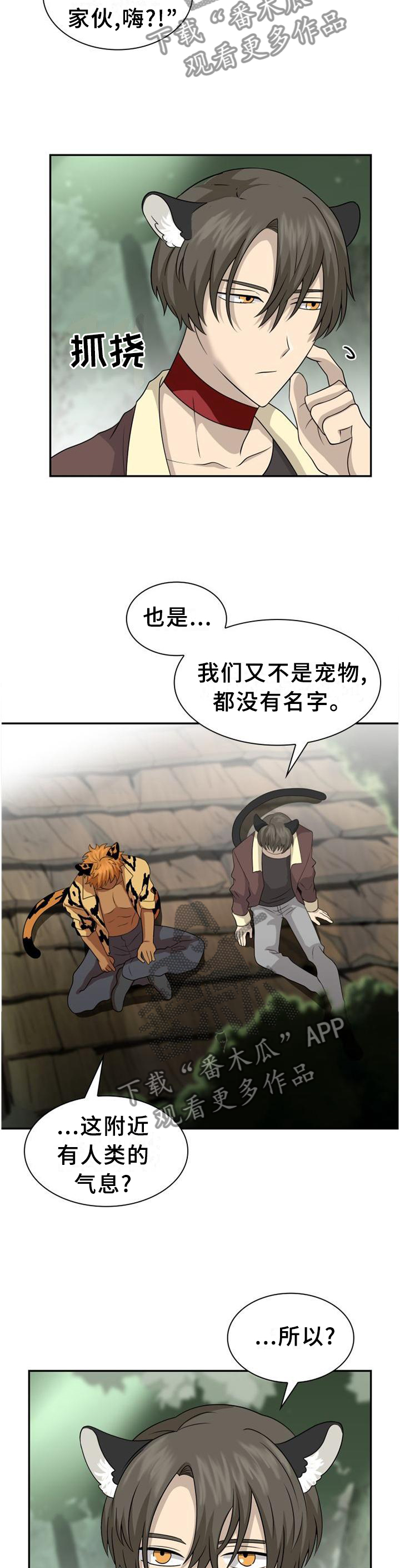 《旷野之息》漫画最新章节第119章：【第二季】猎物免费下拉式在线观看章节第【4】张图片