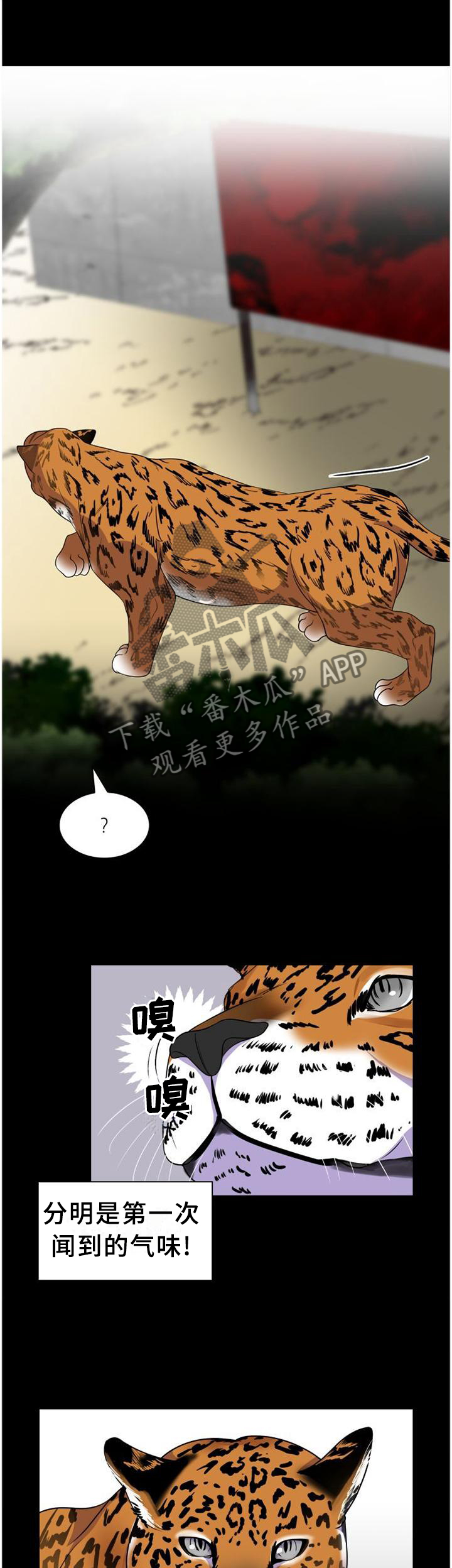 《旷野之息》漫画最新章节第120章：【第二季】我当然乐意免费下拉式在线观看章节第【8】张图片