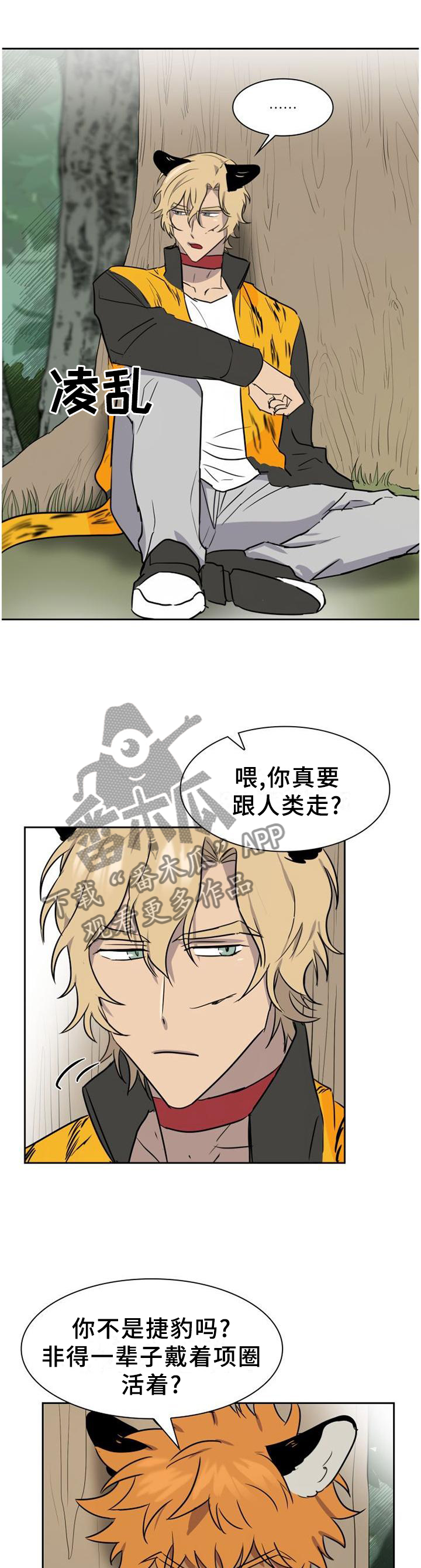 《旷野之息》漫画最新章节第137章：【第二季】野生动物的尊严免费下拉式在线观看章节第【7】张图片