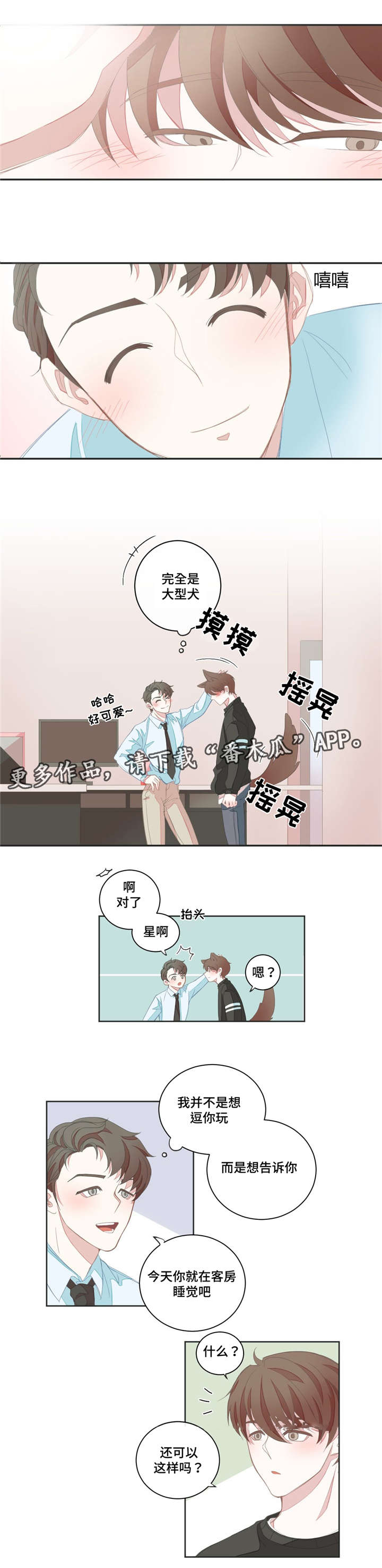 《星和东家》漫画最新章节第8章：共寝免费下拉式在线观看章节第【11】张图片