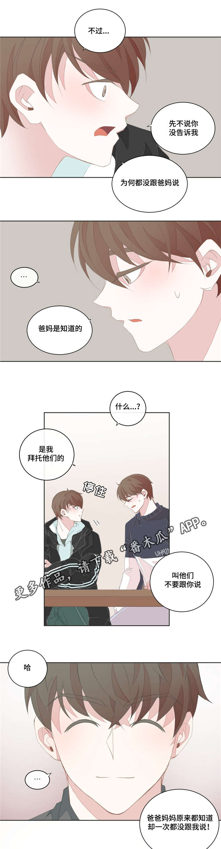 《星和东家》漫画最新章节第36章：比起那个免费下拉式在线观看章节第【8】张图片