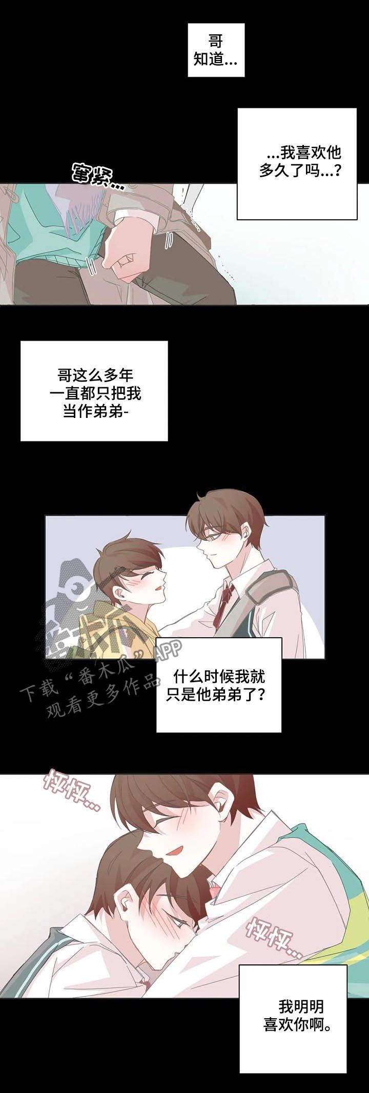 《星和东家》漫画最新章节第59章：只是家人免费下拉式在线观看章节第【4】张图片