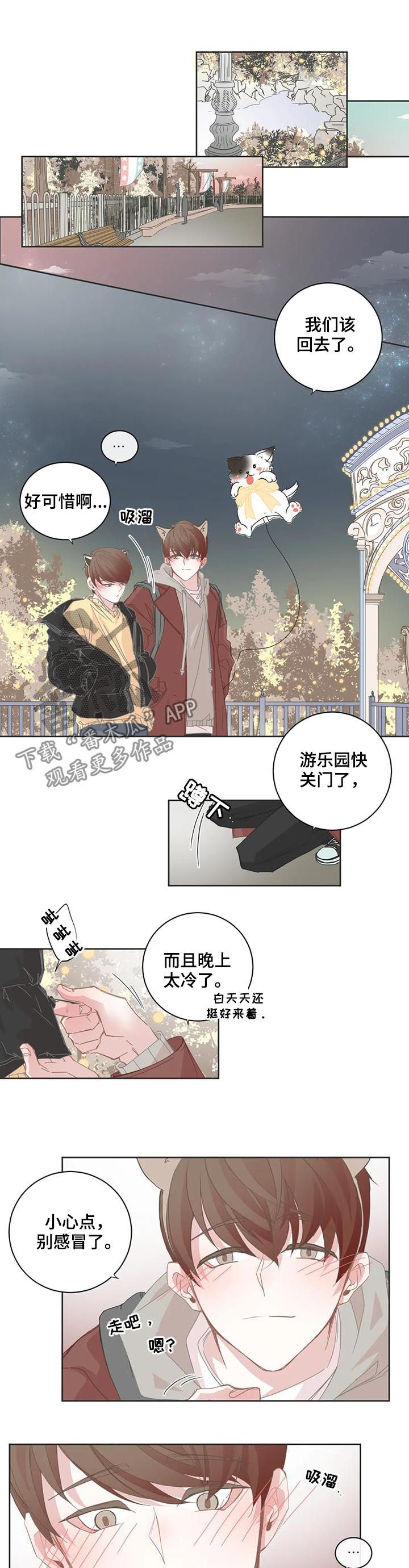 《星和东家》漫画最新章节第64章：烟花免费下拉式在线观看章节第【6】张图片