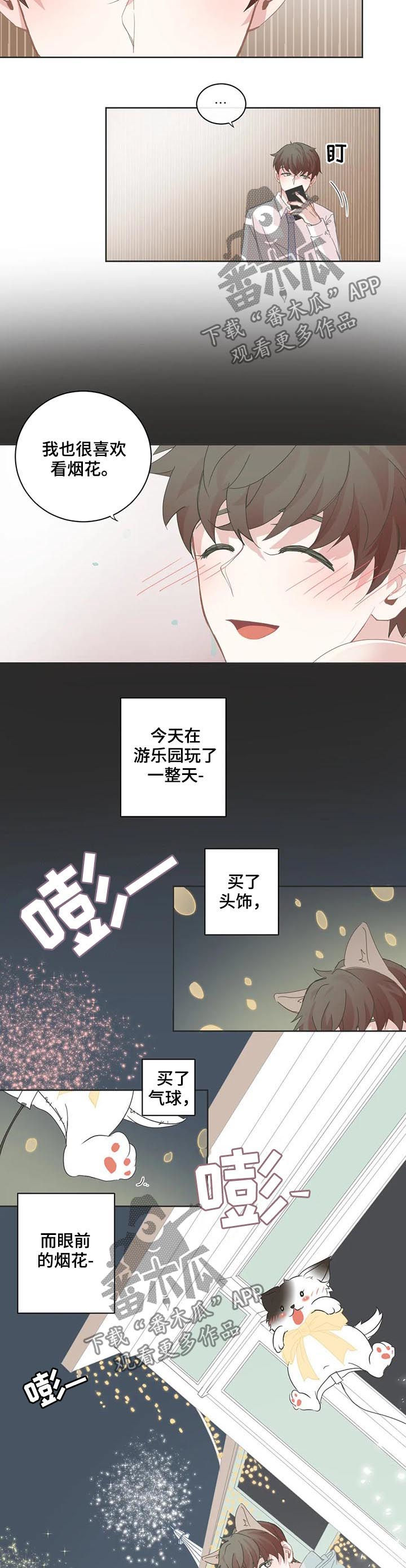 《星和东家》漫画最新章节第64章：烟花免费下拉式在线观看章节第【2】张图片