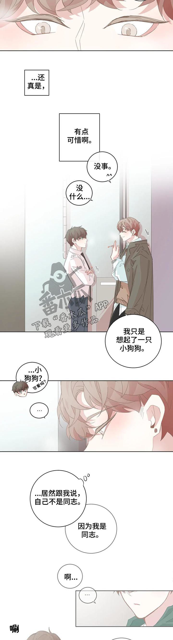 《星和东家》漫画最新章节第85章：小狗太凶免费下拉式在线观看章节第【5】张图片