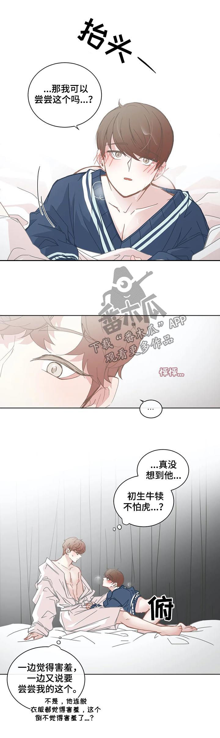 《星和东家》漫画最新章节第115章：有何不可免费下拉式在线观看章节第【5】张图片