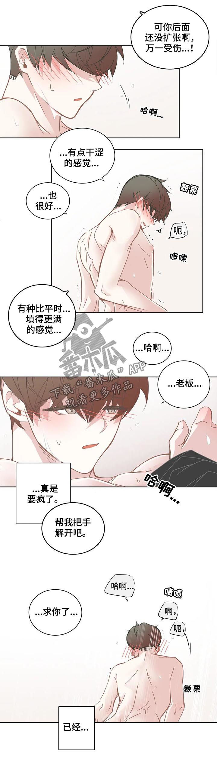 《星和东家》漫画最新章节第131章：玩心免费下拉式在线观看章节第【4】张图片