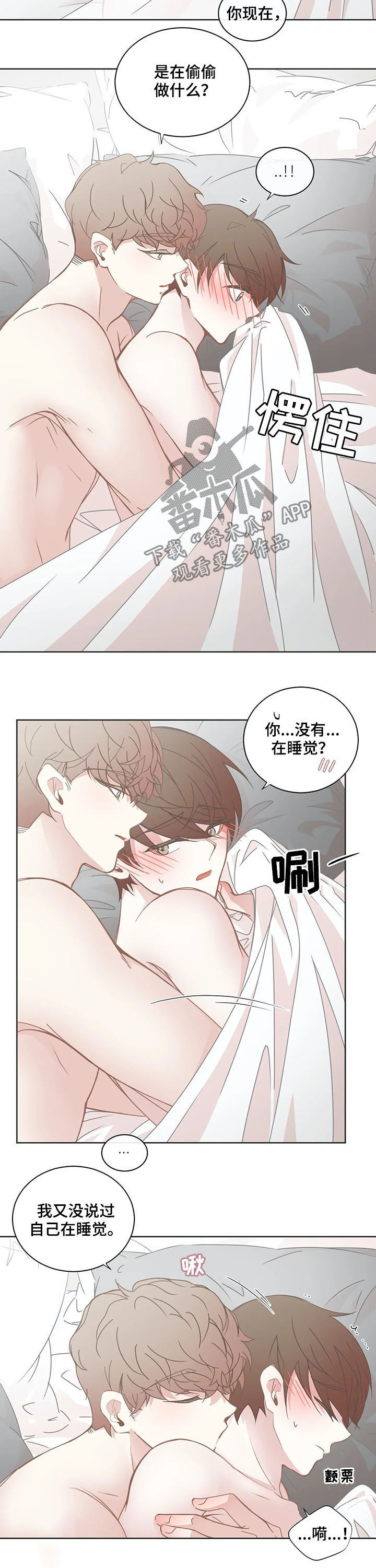 《星和东家》漫画最新章节第149章：交往免费下拉式在线观看章节第【4】张图片