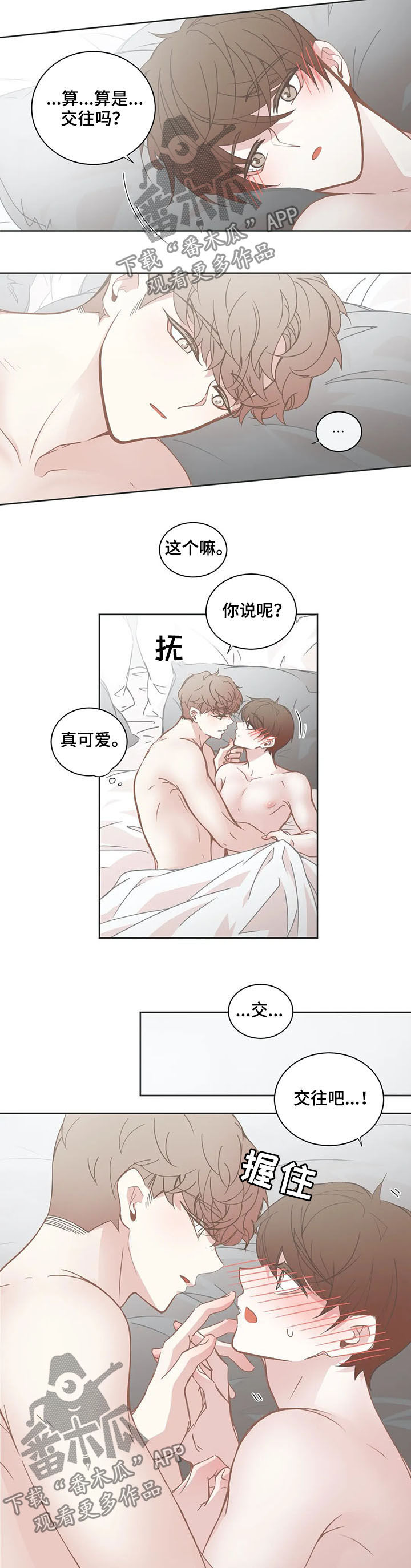 《星和东家》漫画最新章节第149章：交往免费下拉式在线观看章节第【2】张图片