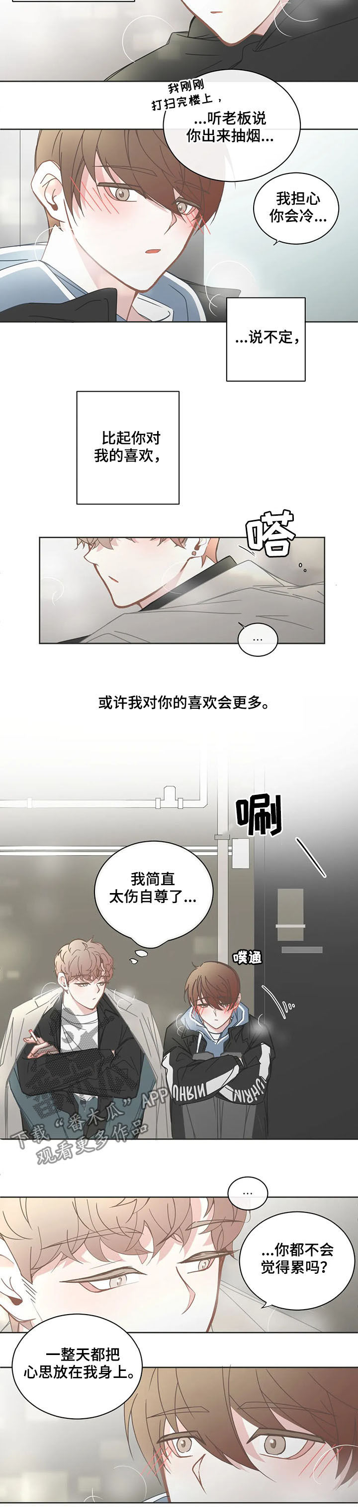 《星和东家》漫画最新章节第158章：我们交往吧免费下拉式在线观看章节第【3】张图片