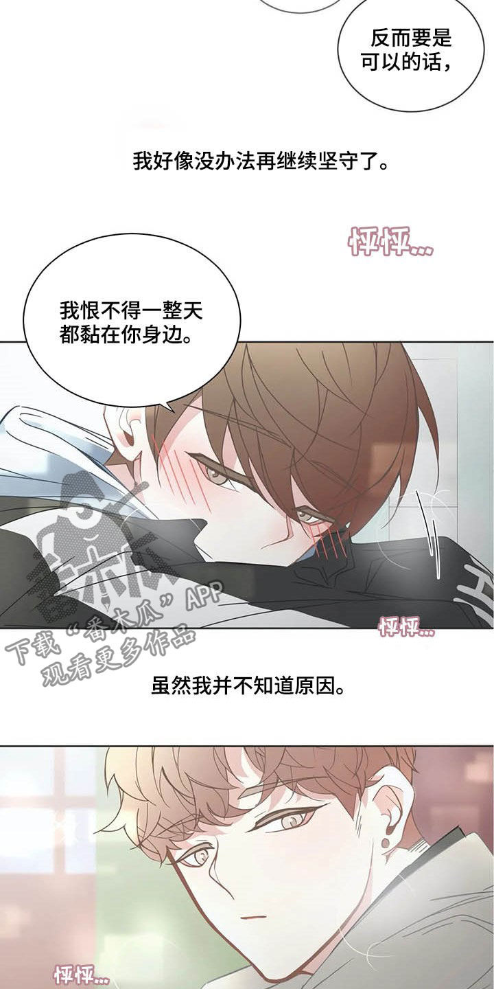 《星和东家》漫画最新章节第159章：交往免费下拉式在线观看章节第【14】张图片