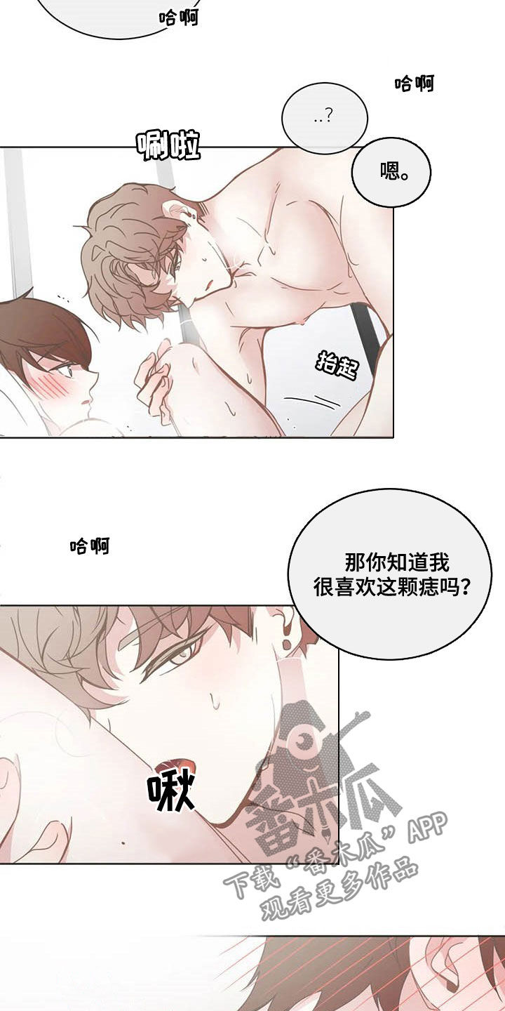 《星和东家》漫画最新章节第171章：头发免费下拉式在线观看章节第【4】张图片