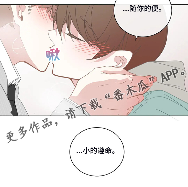 《星和东家》漫画最新章节第196章：小的遵命免费下拉式在线观看章节第【1】张图片