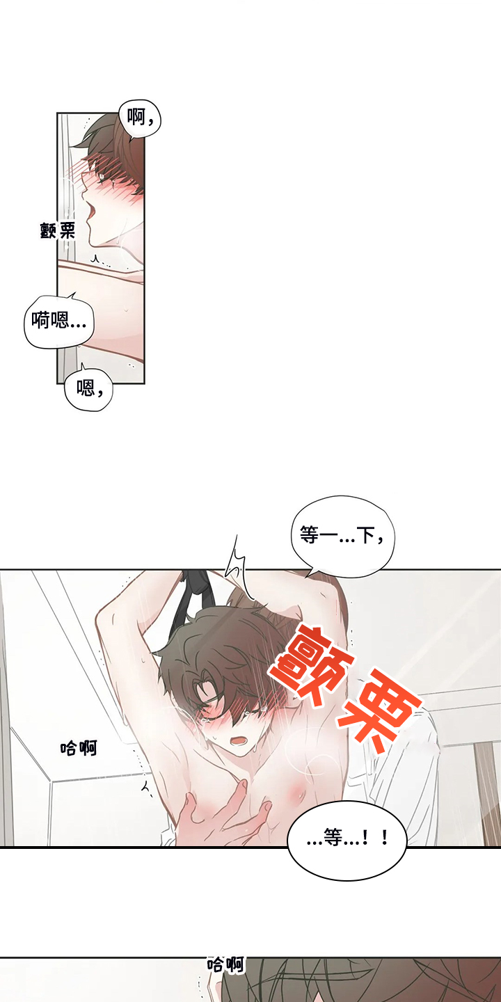 《星和东家》漫画最新章节第214章：随便你怎样免费下拉式在线观看章节第【13】张图片