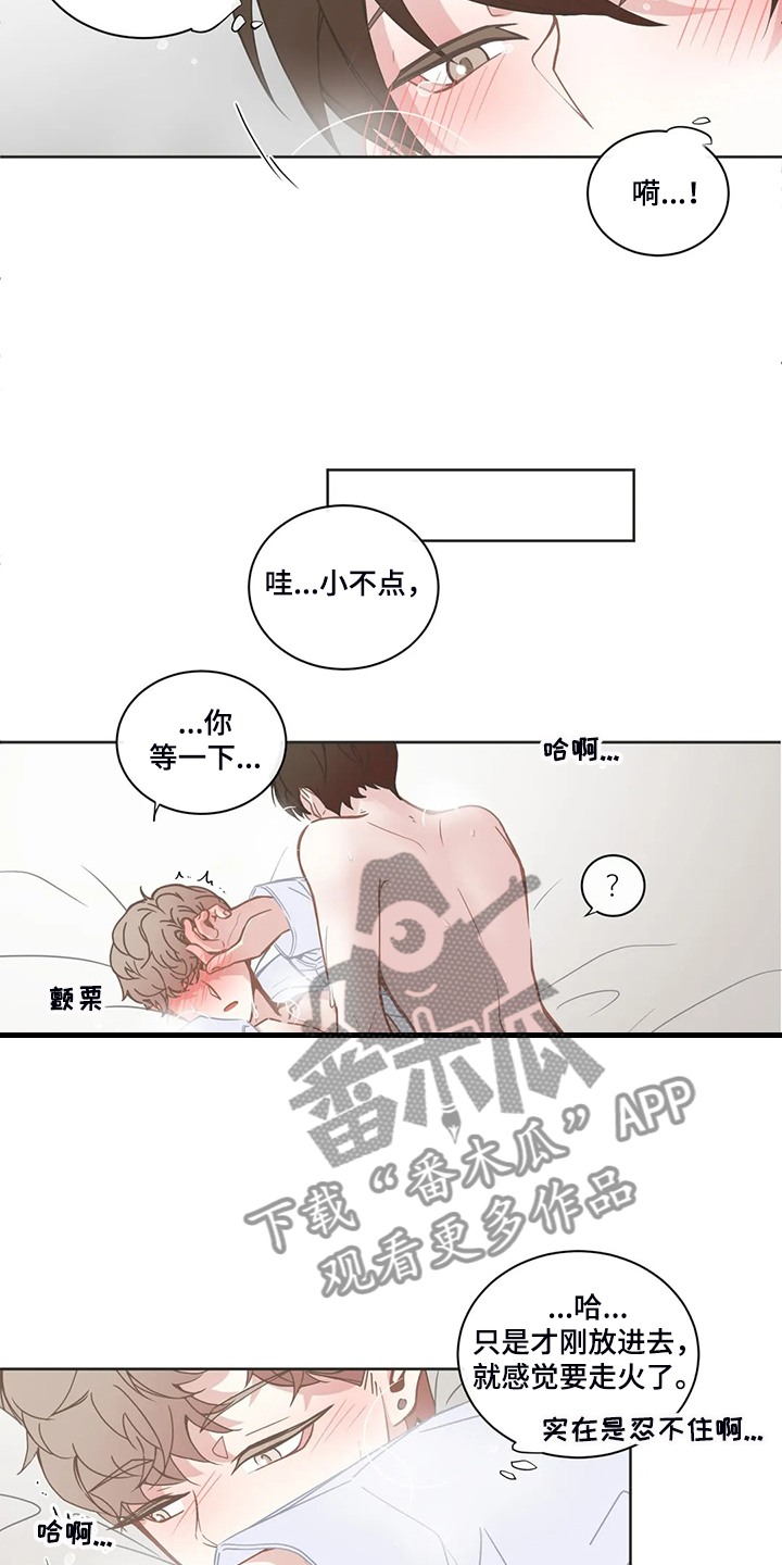 《星和东家》漫画最新章节第226章：一切听你的免费下拉式在线观看章节第【14】张图片