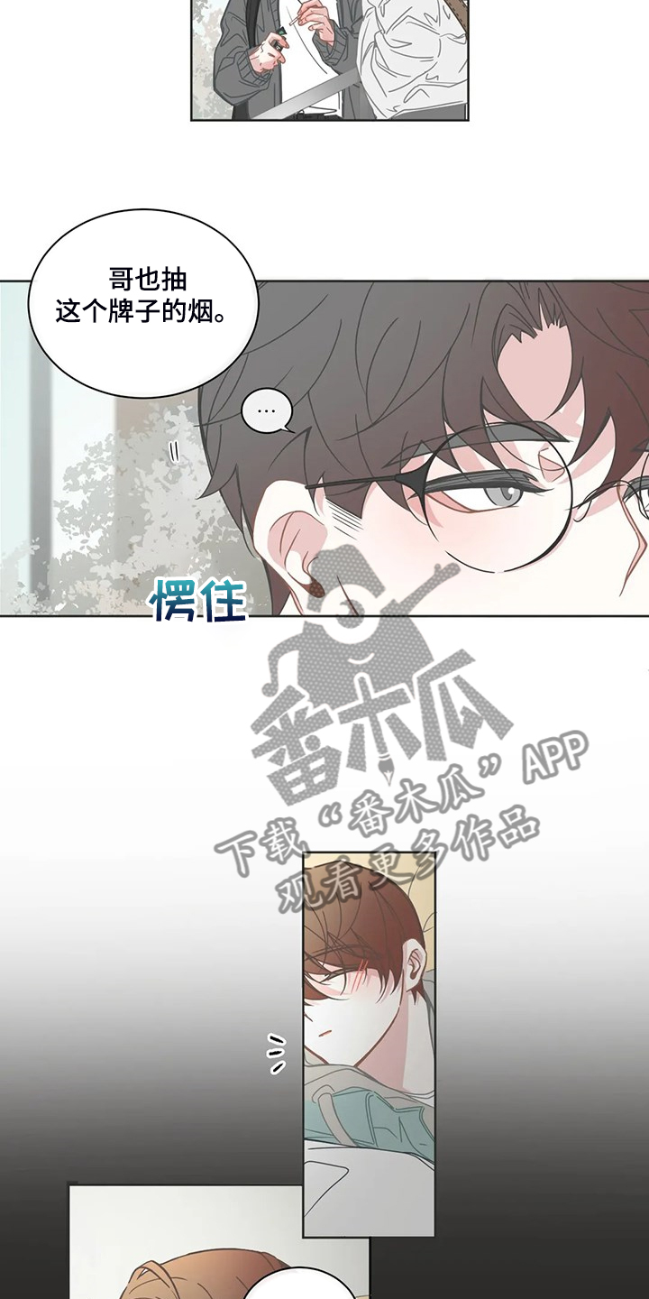 《星和东家》漫画最新章节第252章：同一个牌子免费下拉式在线观看章节第【12】张图片