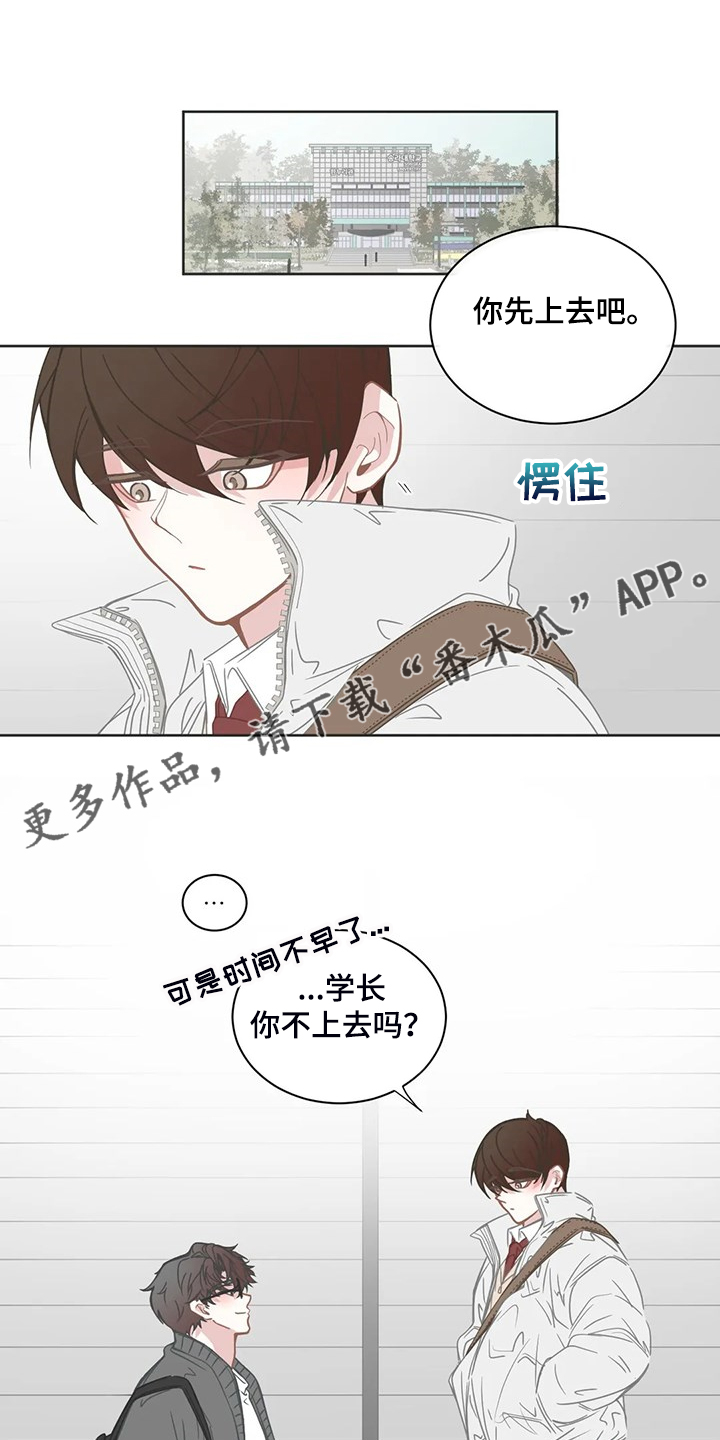 《星和东家》漫画最新章节第252章：同一个牌子免费下拉式在线观看章节第【14】张图片