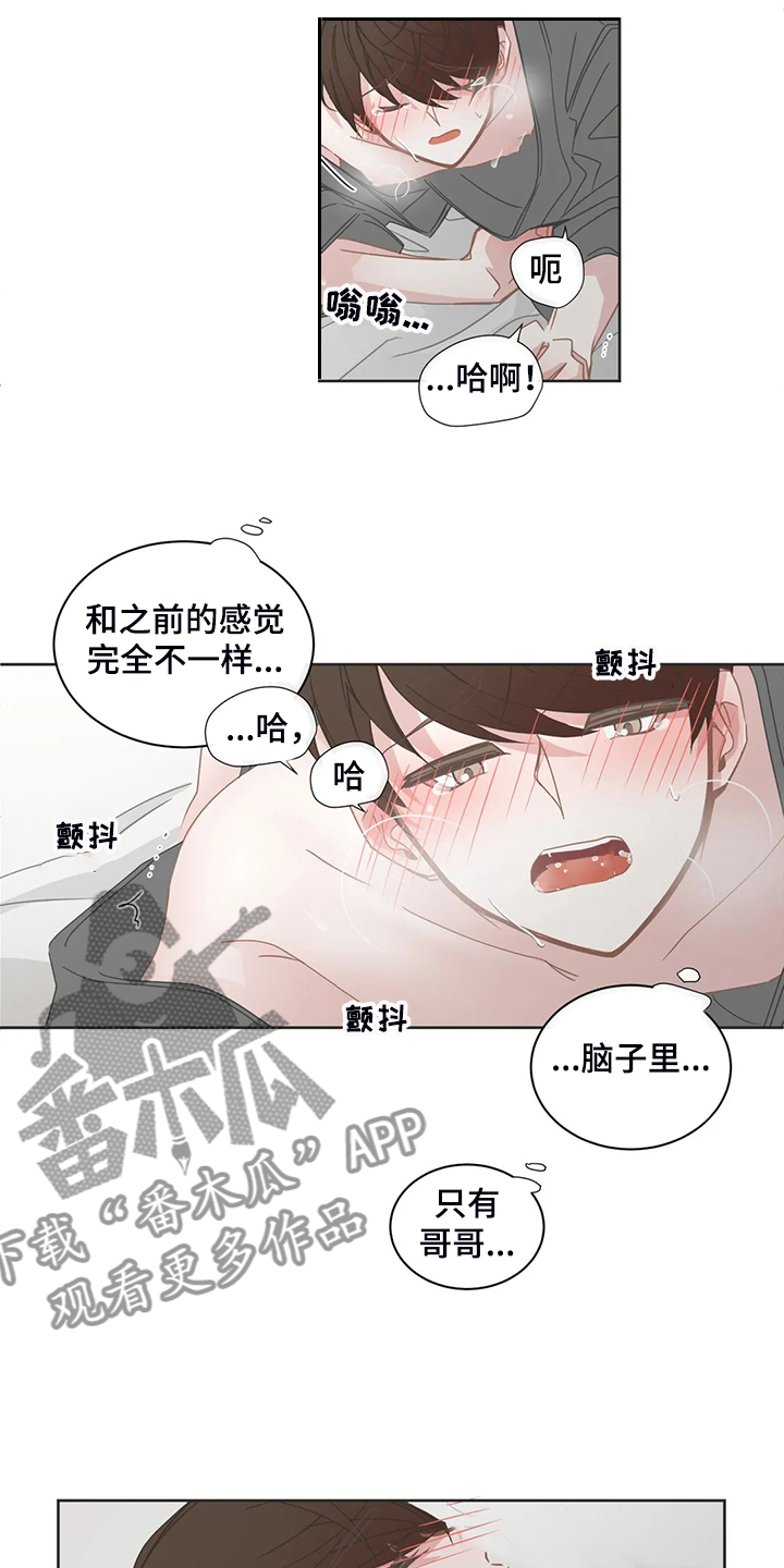 《星和东家》漫画最新章节第256章：替代品免费下拉式在线观看章节第【3】张图片