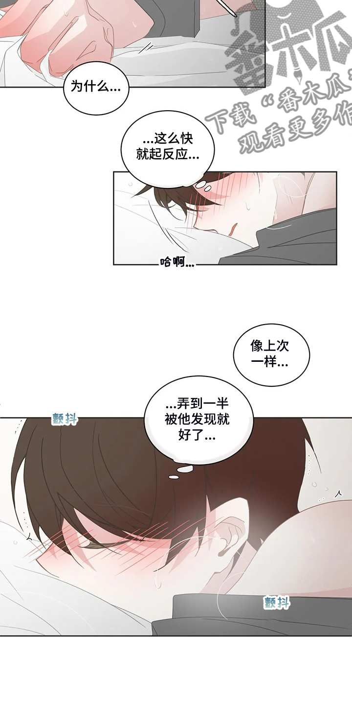 《星和东家》漫画最新章节第256章：替代品免费下拉式在线观看章节第【12】张图片