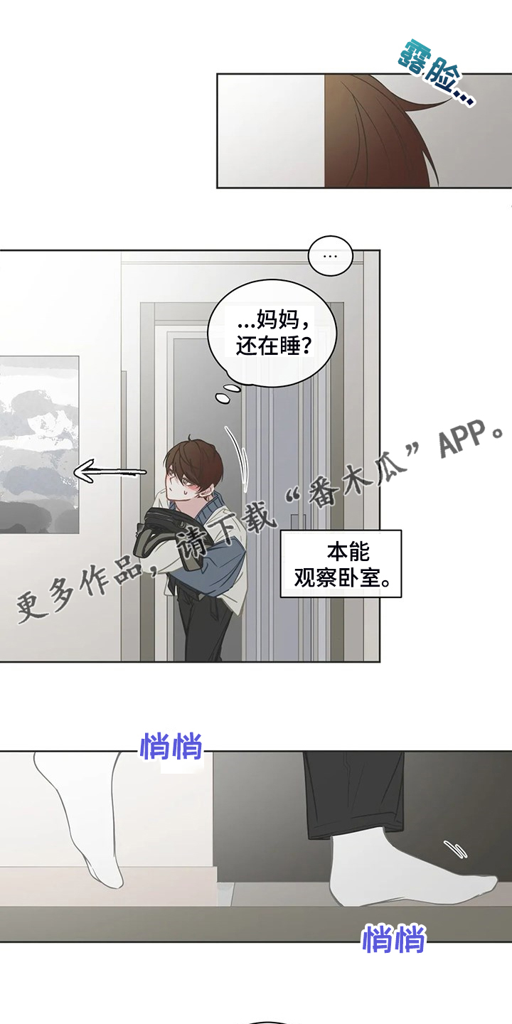 《星和东家》漫画最新章节第259章：母亲到来免费下拉式在线观看章节第【21】张图片