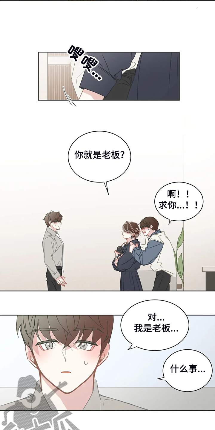 《星和东家》漫画最新章节第259章：母亲到来免费下拉式在线观看章节第【6】张图片