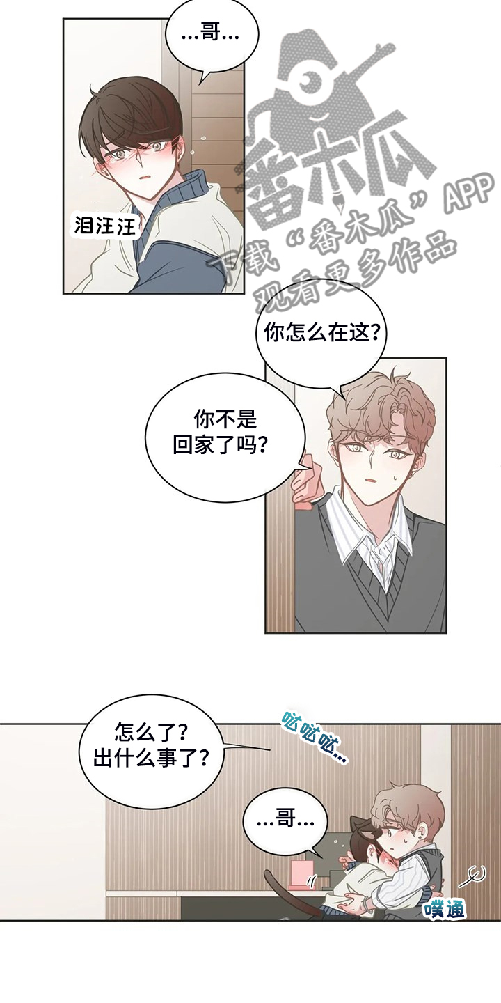 《星和东家》漫画最新章节第260章：母亲通关免费下拉式在线观看章节第【19】张图片