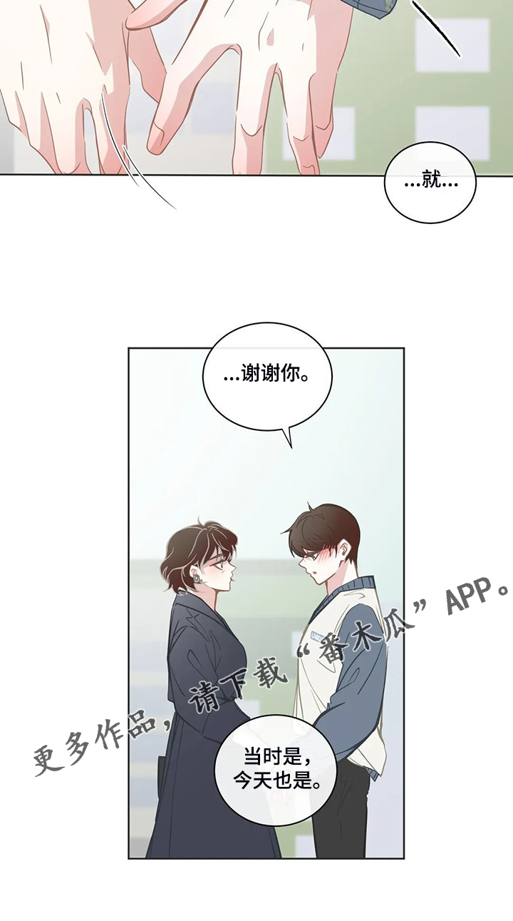 《星和东家》漫画最新章节第263章：你开心就好免费下拉式在线观看章节第【1】张图片