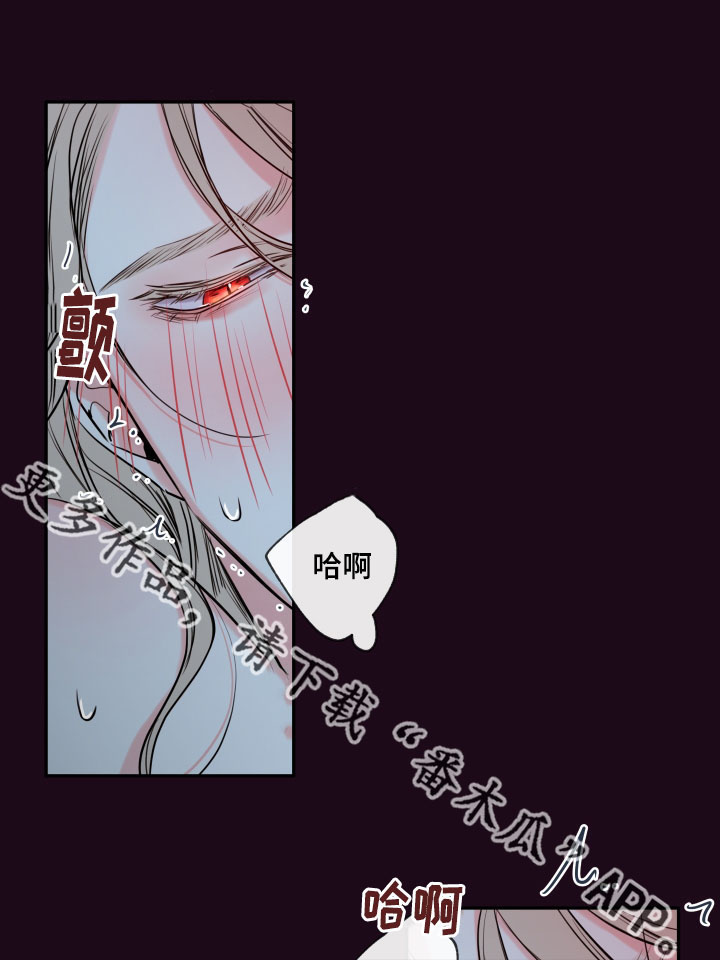 《半血族》漫画最新章节第39章：夜很长免费下拉式在线观看章节第【10】张图片