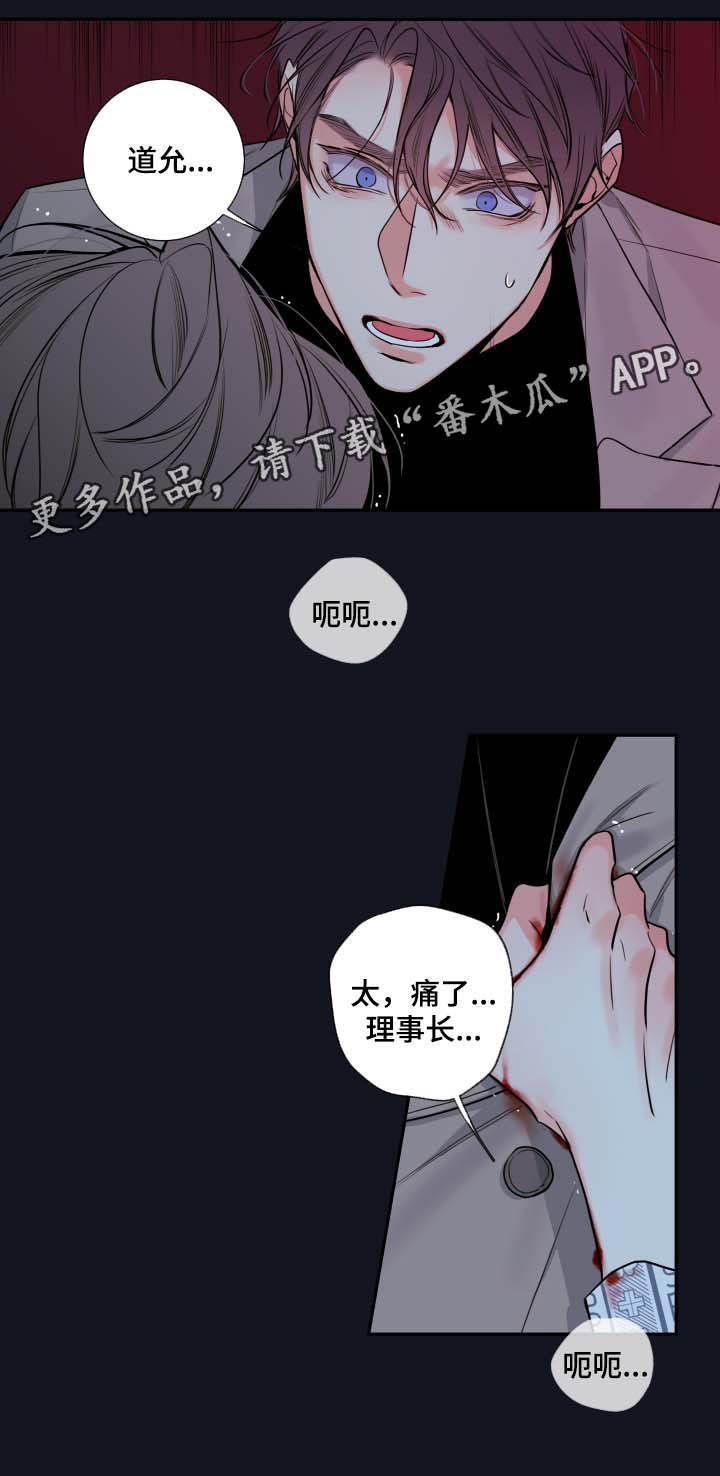 《半血族》漫画最新章节第50章：谈话免费下拉式在线观看章节第【5】张图片