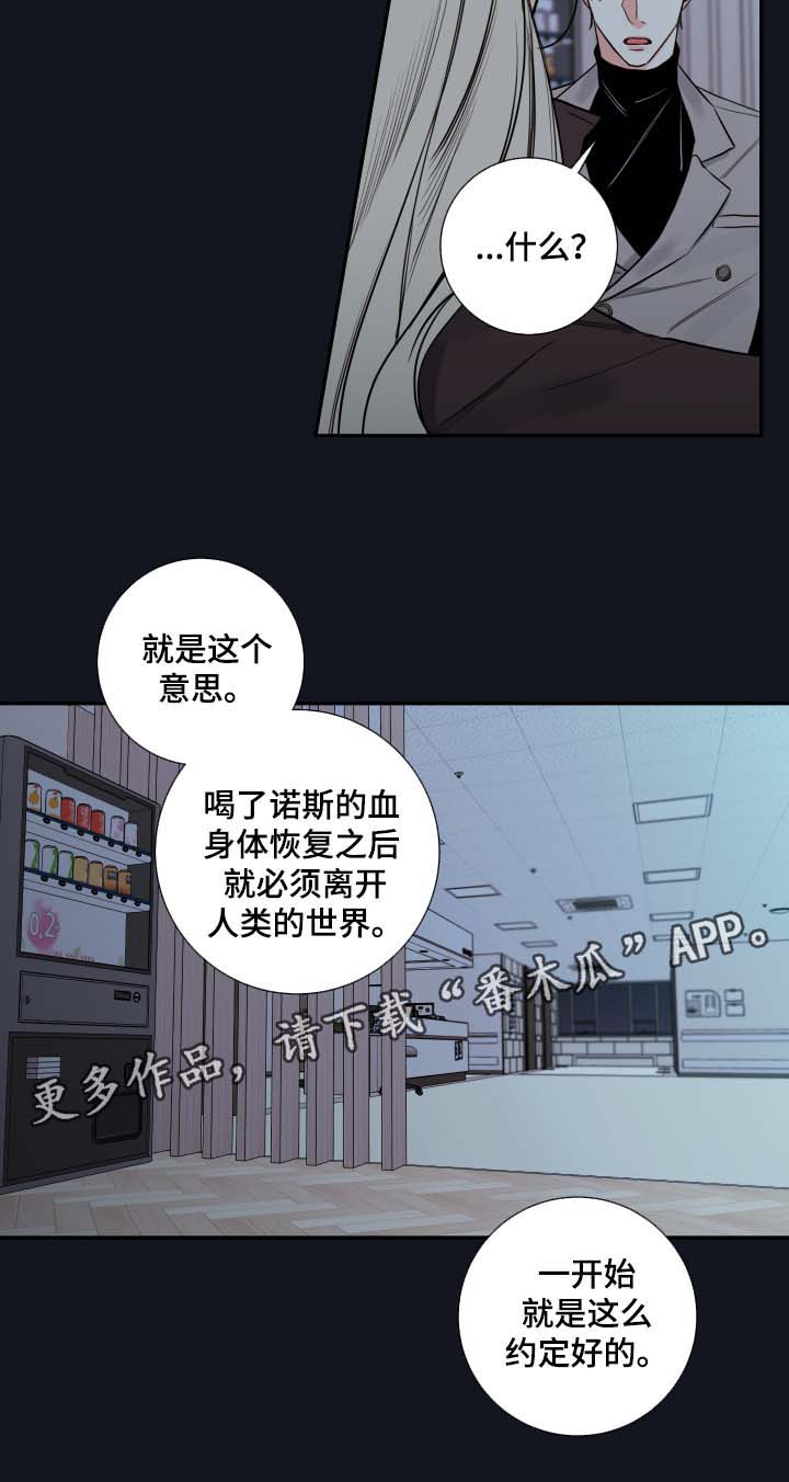 《半血族》漫画最新章节第50章：谈话免费下拉式在线观看章节第【19】张图片