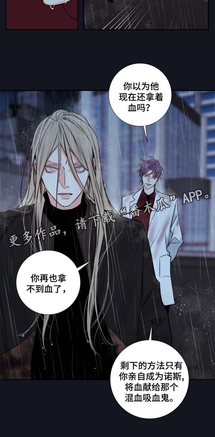 《半血族》漫画最新章节第54章：我来成为诺斯免费下拉式在线观看章节第【4】张图片