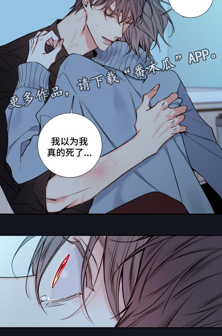 《半血族》漫画最新章节第60章：异常情况免费下拉式在线观看章节第【15】张图片