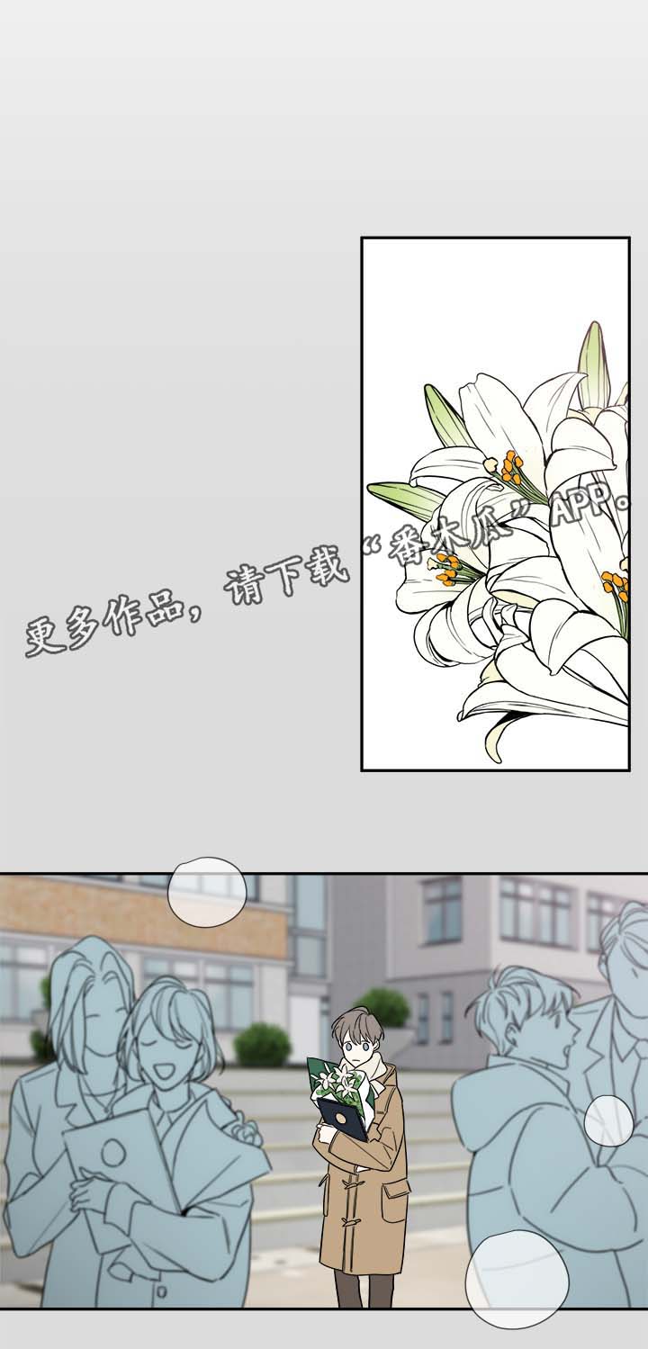 《半血族》漫画最新章节第78章：尘埃落定免费下拉式在线观看章节第【5】张图片