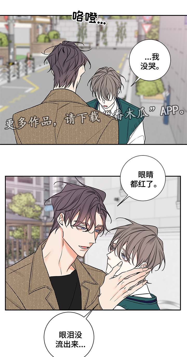 《半血族》漫画最新章节第78章：尘埃落定免费下拉式在线观看章节第【11】张图片