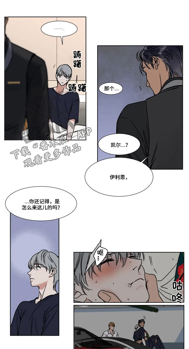 《英伦式流言》漫画最新章节第80章：治病免费下拉式在线观看章节第【2】张图片