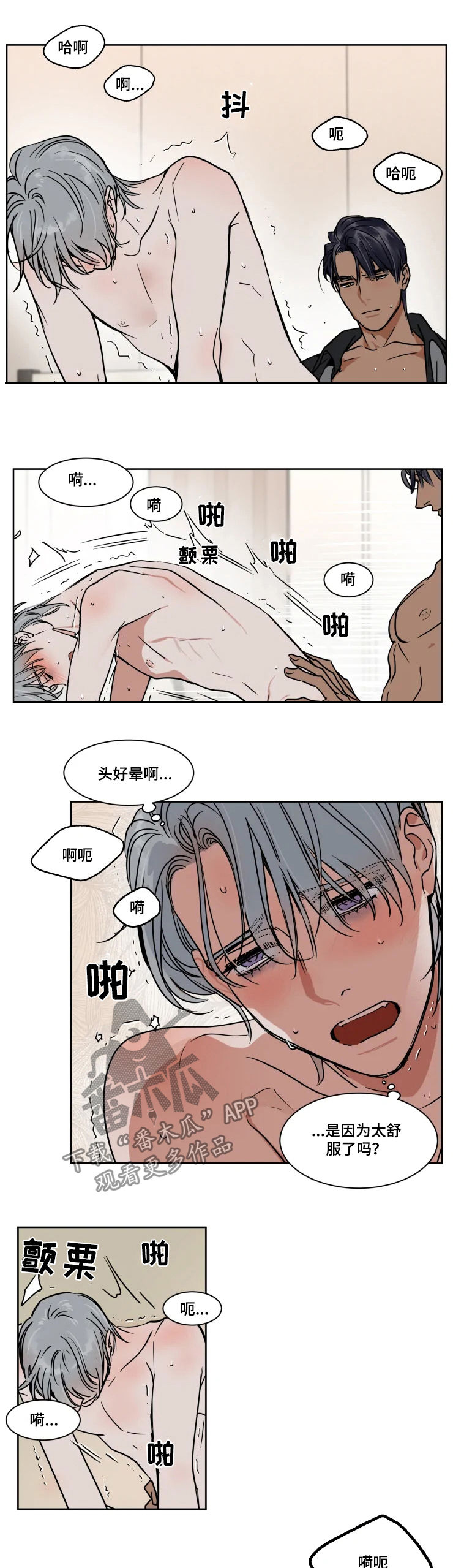 《英伦式流言》漫画最新章节第83章：去哪儿免费下拉式在线观看章节第【8】张图片