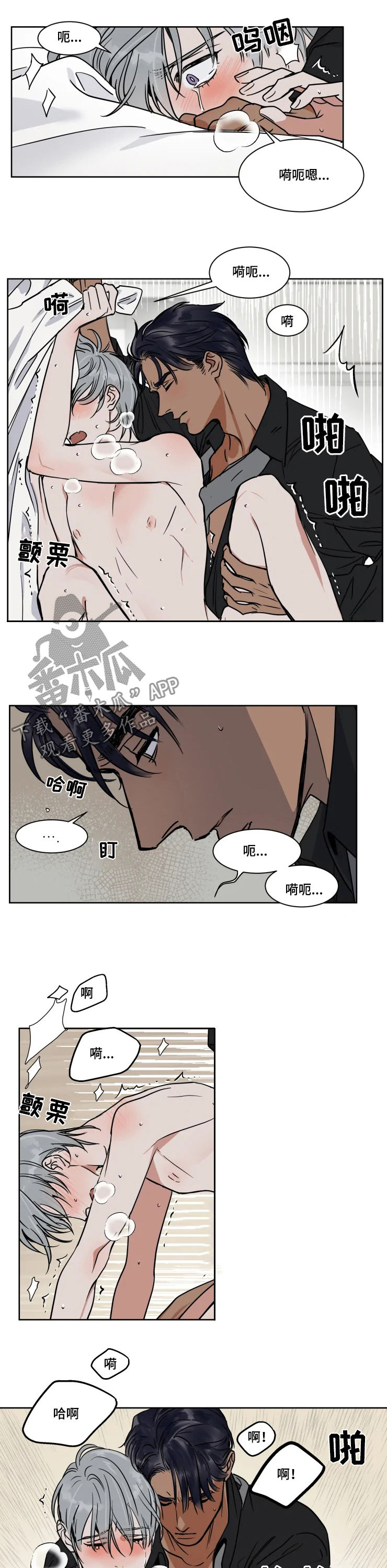 《英伦式流言》漫画最新章节第83章：去哪儿免费下拉式在线观看章节第【4】张图片