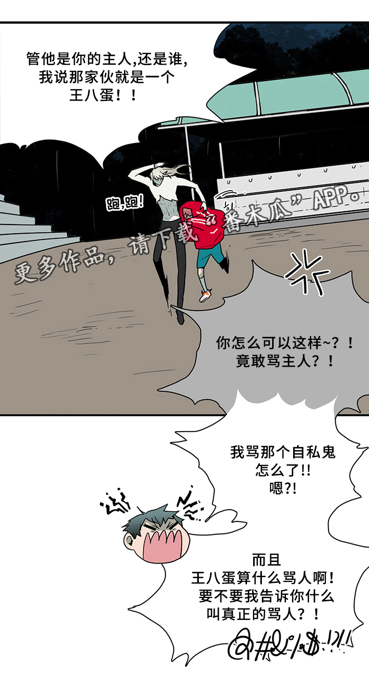 《黑焰纹章》漫画最新章节第83章：行踪免费下拉式在线观看章节第【12】张图片