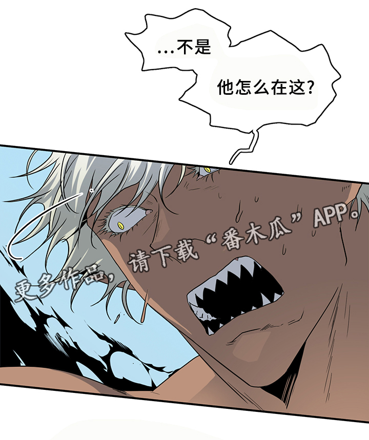 《黑焰纹章》漫画最新章节第91章：找到免费下拉式在线观看章节第【1】张图片